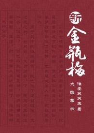 新金瓶梅哔哩哔哩