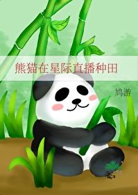 熊猫在星际直播种田鸠游微子启