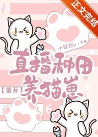 直播种田养猫崽星际