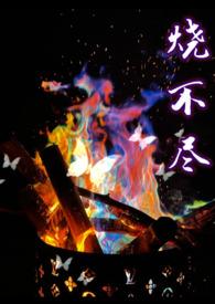 烧不尽TXT百度