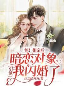 相亲暗恋文