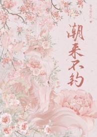 潮来潮去是那首歌词
