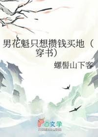 有没有关于男花魁的
