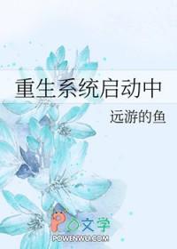 进系统前重启