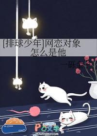 排球少年男女主