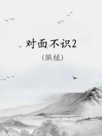 对面不识什么意思