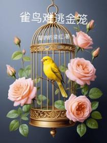 雀鸟难逃金笼TXT