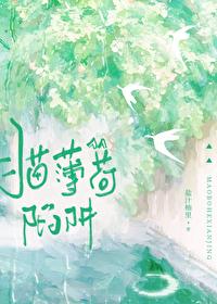 猫薄荷骗水