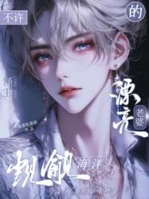 不许觊觎海洋领主漂亮老婆翻译