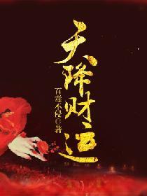 天降财运第三中文网