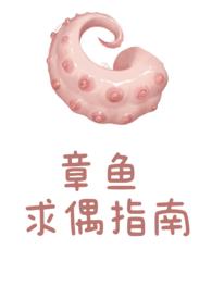 章鱼求偶指南txt
