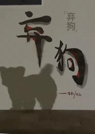 狗狗视频