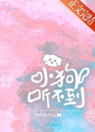 小狗听不到txt番外