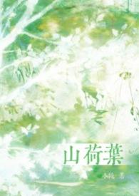 山荷叶长什么样