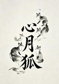 心月狐资质