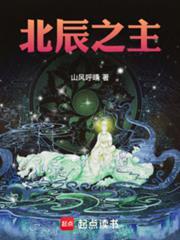 北辰之主笔趣阁免费阅读
