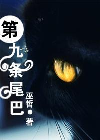 第九条尾巴猫粮是杂牌子吗