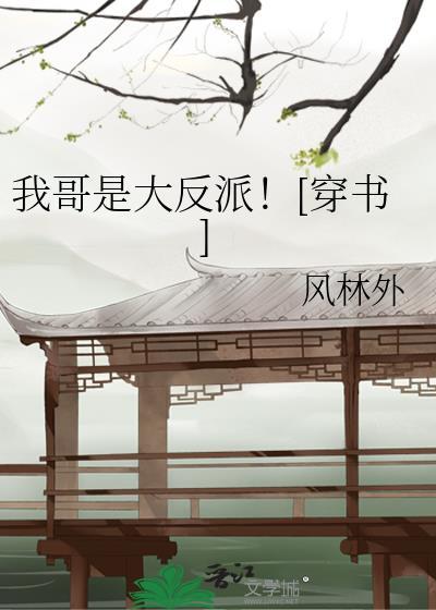我哥是大反派穿书风林外