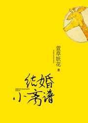 结婚小离谱 txt