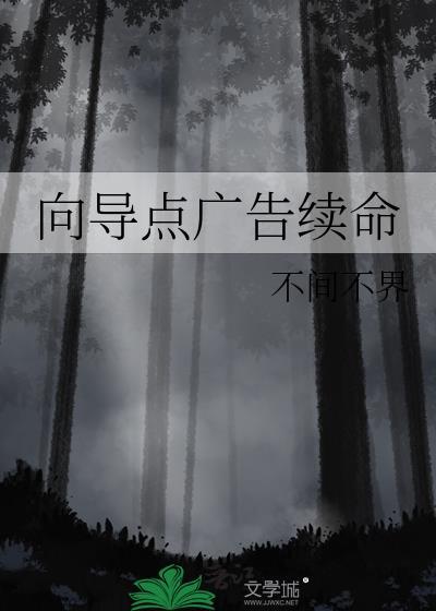 向导怎么宣传