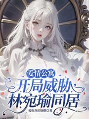 爱情公寓女主林宛瑜的名字