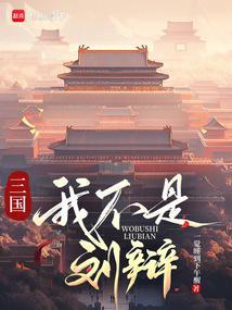 三国我刘辩让大汉再次伟大笔趣阁
