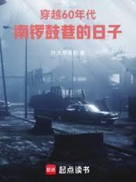 穿越60年代南锣鼓巷的日子TXT