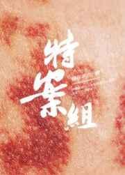 特殊案件调查组1-4