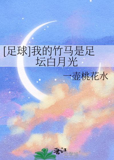足球我的竹马很少女沙十二少