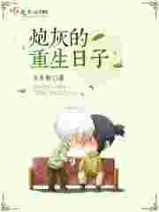 4. 炮灰重生记