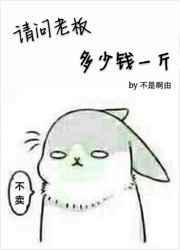 老板价钱