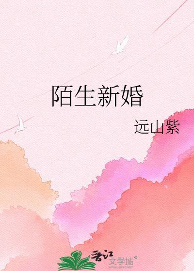 婚礼的陌生人