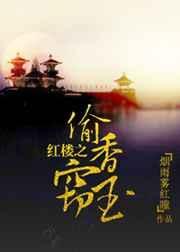 偷香高手红楼梦
