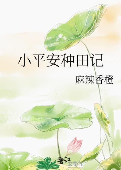 小平安种田记麻辣香橙笔趣网