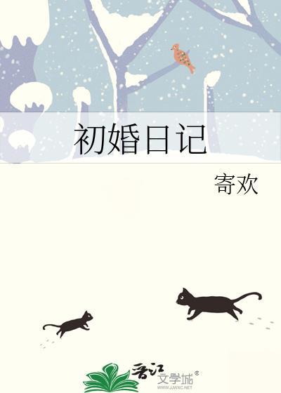 初婚日记txt