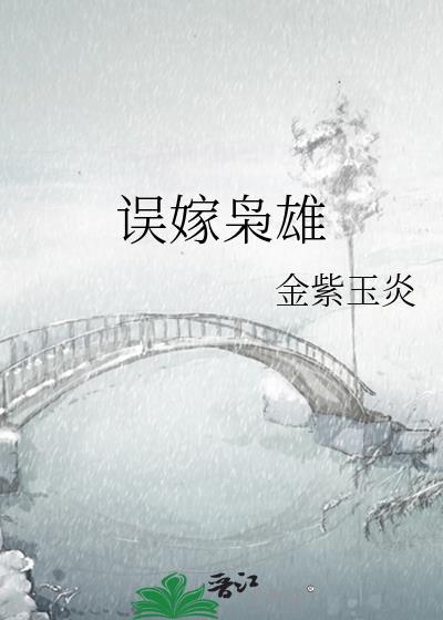 误嫁军人的