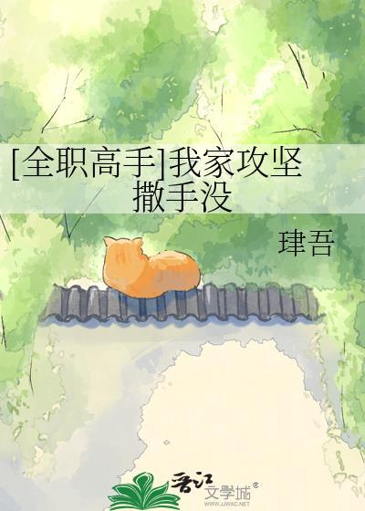 全职高手大攻略家online