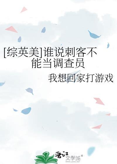 我说刺客