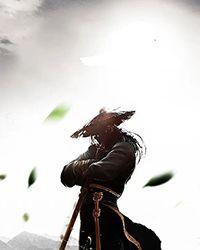 海军大将 卡普